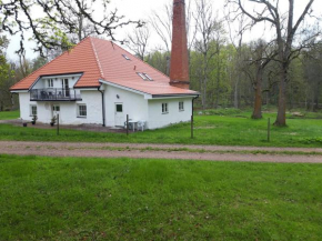 - Schönes kleines Apartment zum Schlafen - Moholm